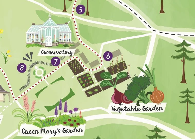 Balmoral illustrated visitor map - Bek Cruddace Illustration