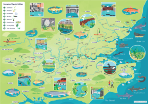 Illustrated Fish Migration Map - Bek Cruddace Illustration